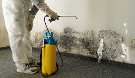 Indiana Restoration and Cleaning Services