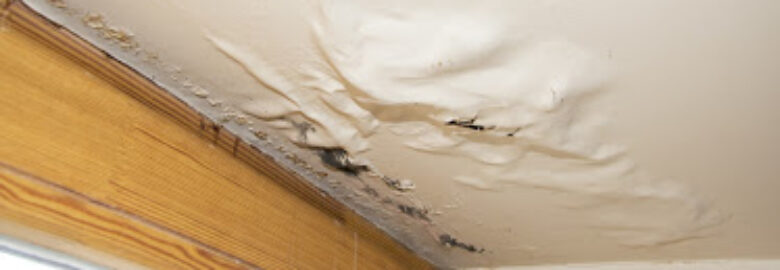 ServiceMaster Of Bux-Mont