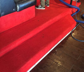 Momentum Carpet & Floor Care, LLC.