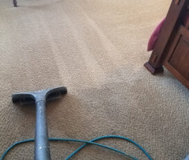 Shaggy’s Carpet Cleaning