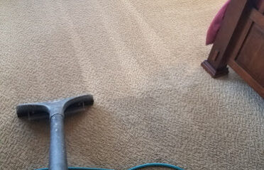 Shaggy’s Carpet Cleaning