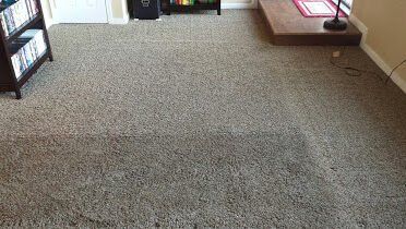 SNK Carpet Cleaning