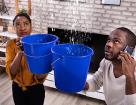 Rhino Cleaning & Restoration