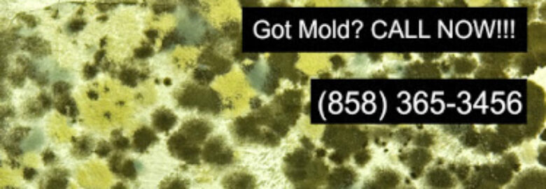 San Diego Mold Inspection Experts