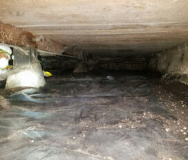 The Water Damage Experts, Incorporated