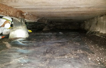 The Water Damage Experts, Incorporated