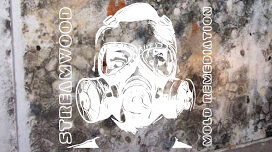 Streamwood Mold Remediation