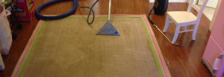Easy Pro Carpet & Upholstery Cleaning Service