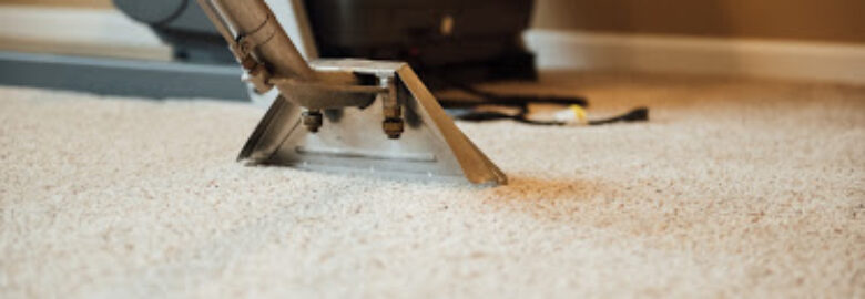 Lee Carpet Cleaning