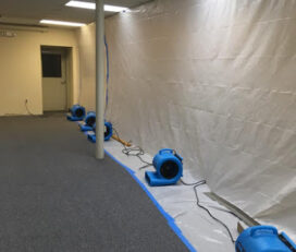 Lilly’s Restoration