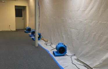 Lilly’s Restoration