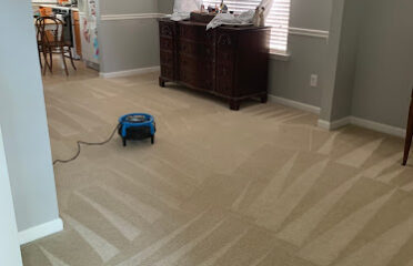 E&M Carpet Cleaning