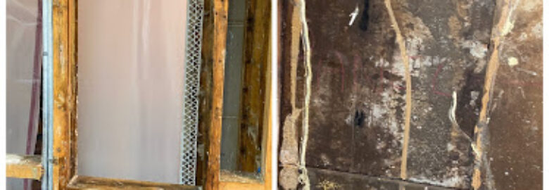 Mold Care Corp