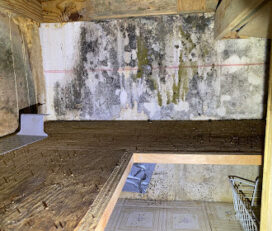 Reliant Mold Testing & Inspections