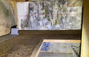 Reliant Mold Testing & Inspections