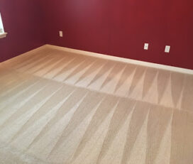 The Cleaning Source – Water Damage Restoration Indianapolis