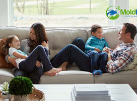 Mold Boss of Atlanta