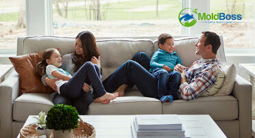 Mold Boss of Atlanta