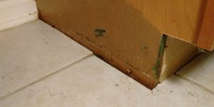 historic residential property water damage restoration Rochester MN